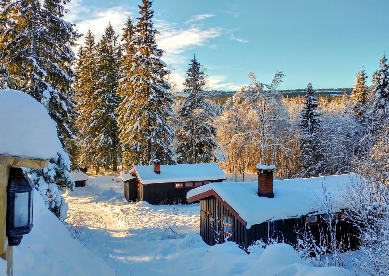 Trysil Hyttegrend Bagian luar foto