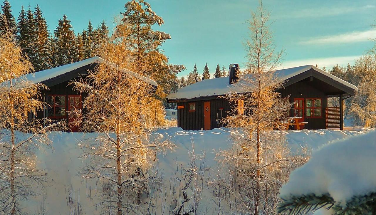 Trysil Hyttegrend Bagian luar foto