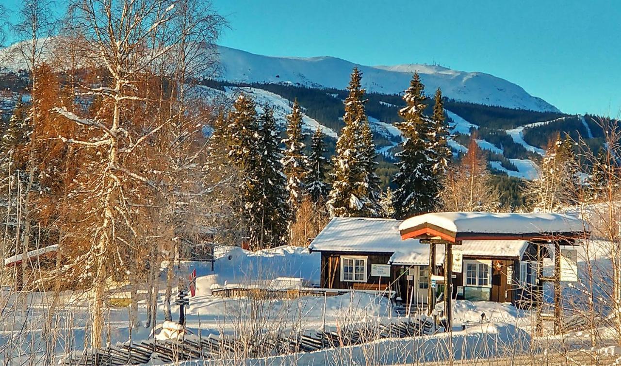 Trysil Hyttegrend Bagian luar foto