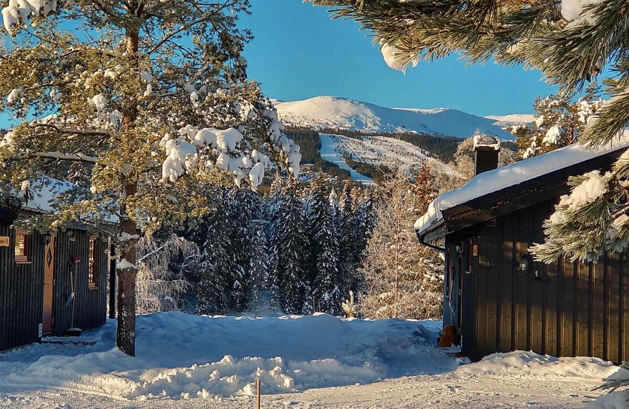 Trysil Hyttegrend Bagian luar foto