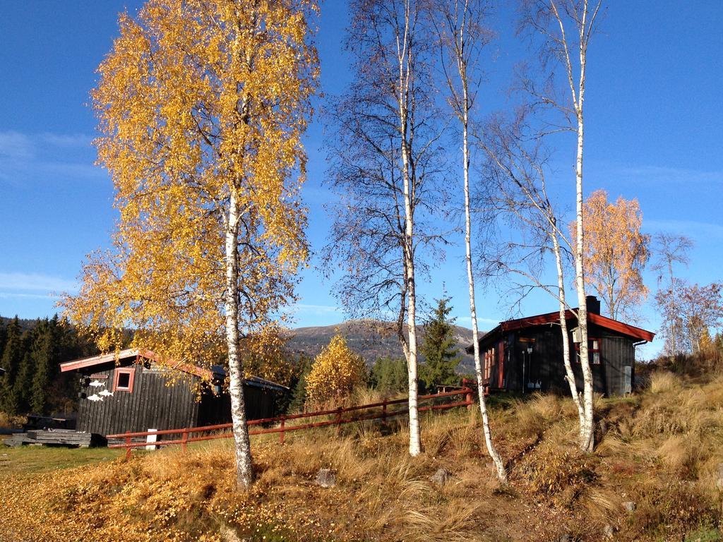 Trysil Hyttegrend Bagian luar foto