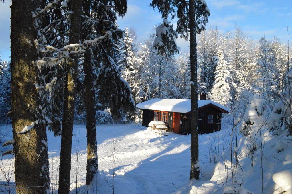 Trysil Hyttegrend Bagian luar foto