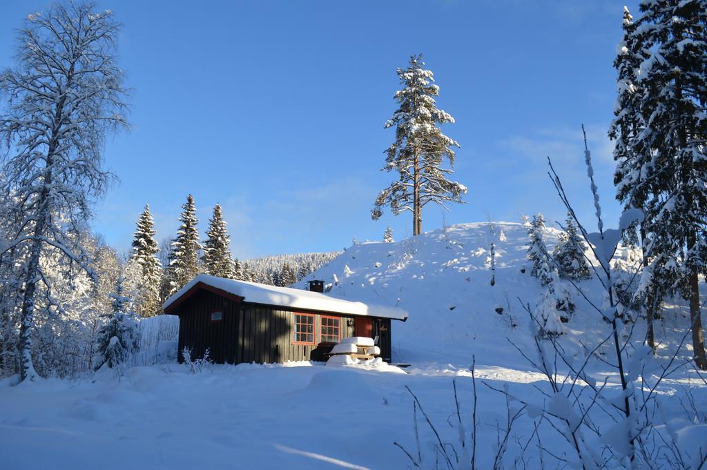 Trysil Hyttegrend Bagian luar foto