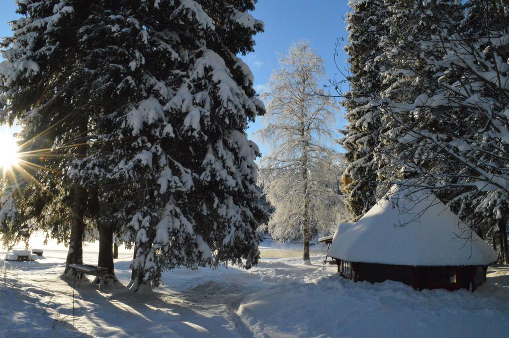 Trysil Hyttegrend Bagian luar foto